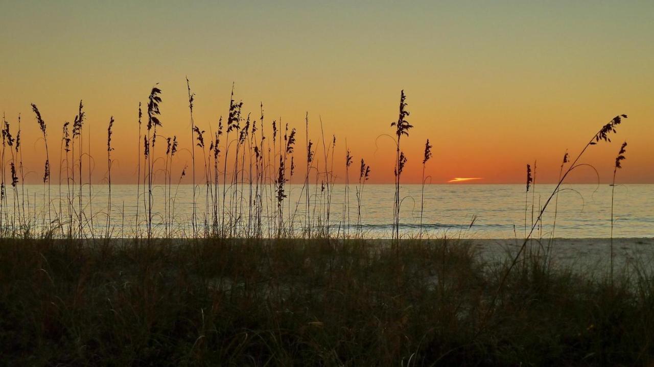 Sunset Chateau 506 - Premier St. Pete Beach Dış mekan fotoğraf